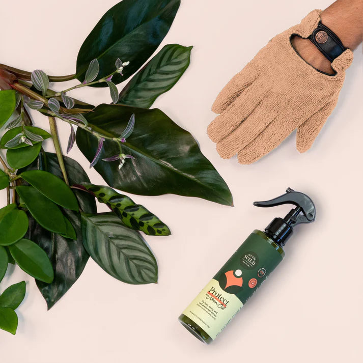 We The Wild | Proud Plant Mum Leaf Care Kit