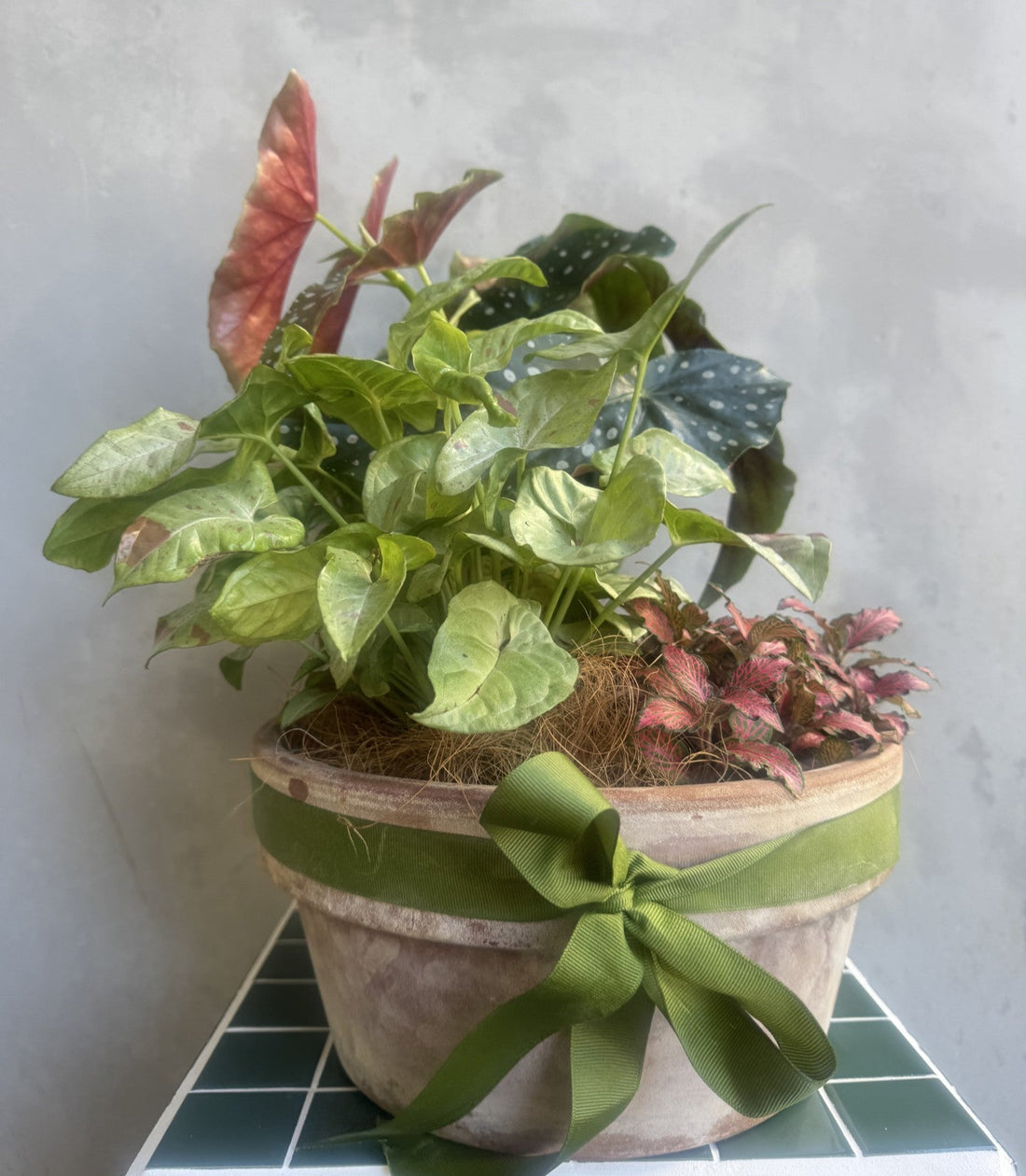 Living Leafscape Planter