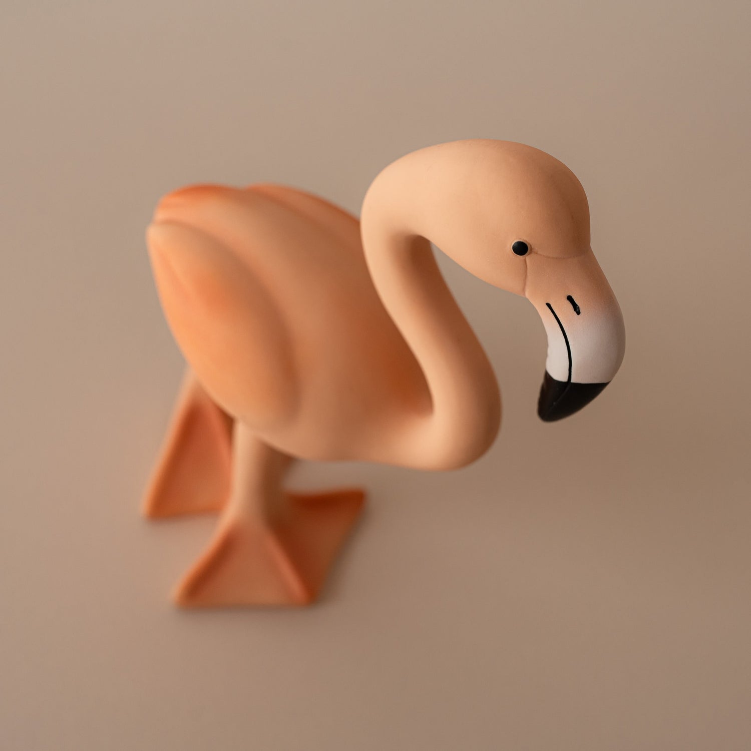 LingoFlamingoallnaturalbabyteethercloseupview