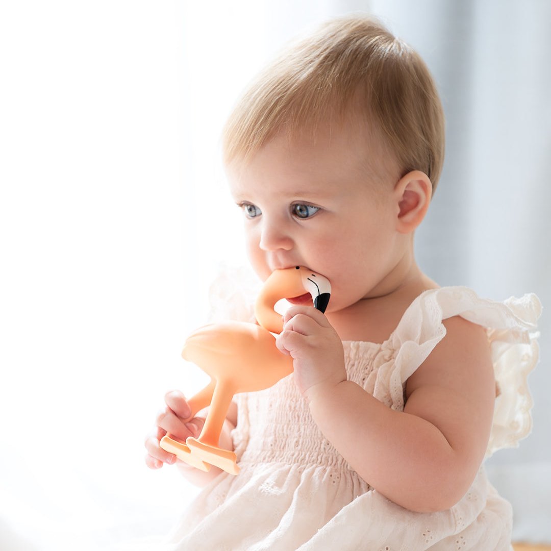 Lingo the Flamingo baby teether