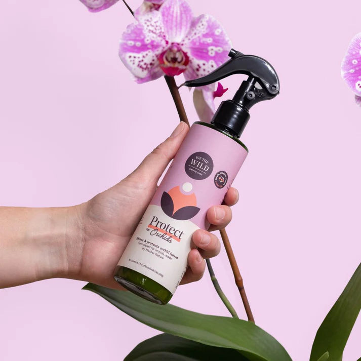 We the Wild | Orchid Care Essentials Kit