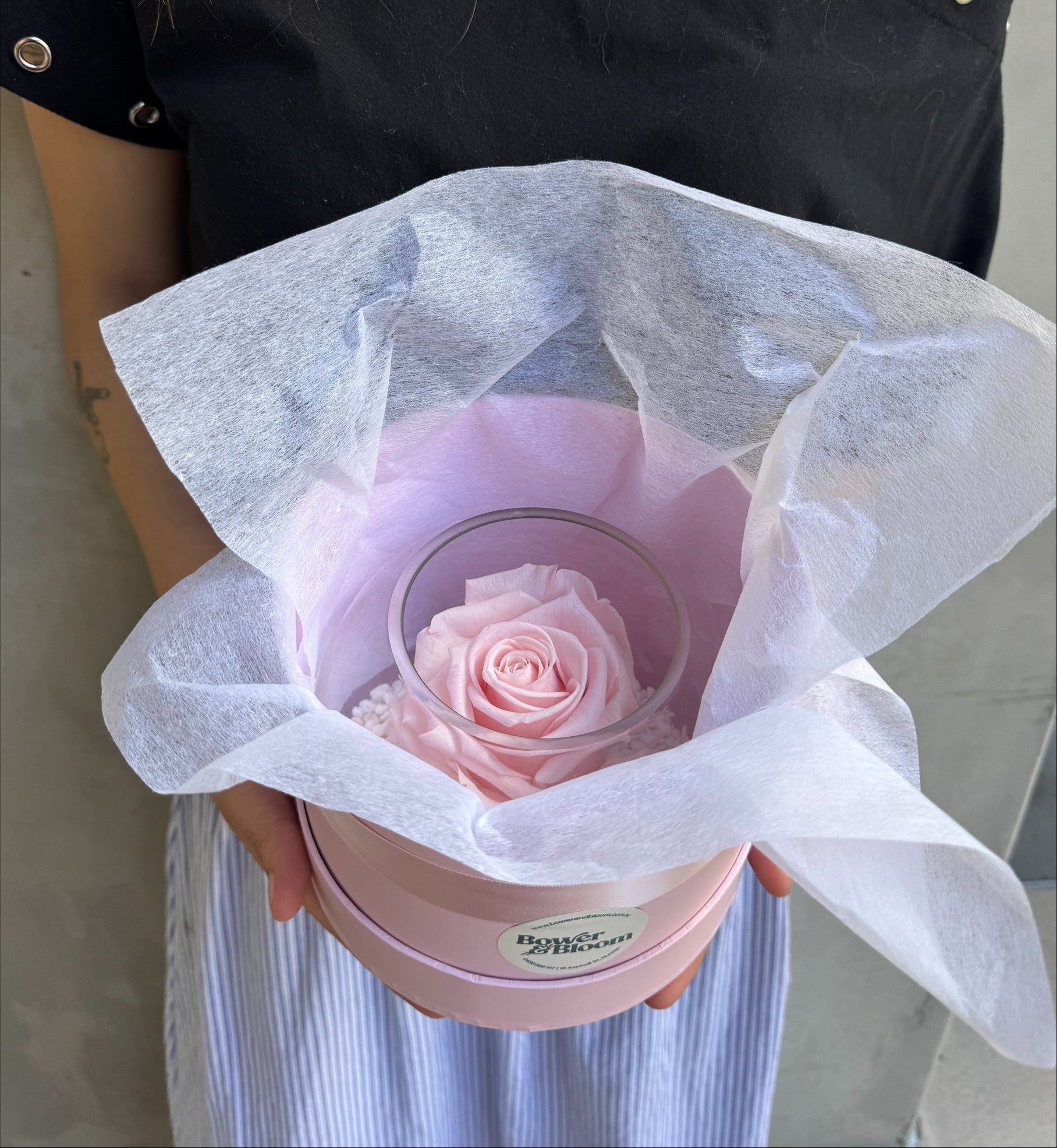 Eternal Elegance | Preserved Pink Rose