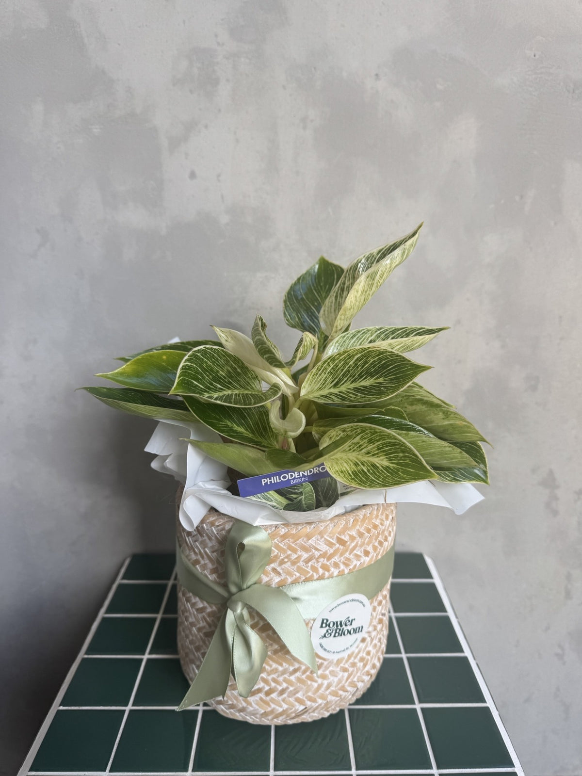The Good Stuff | Hamper for Dad