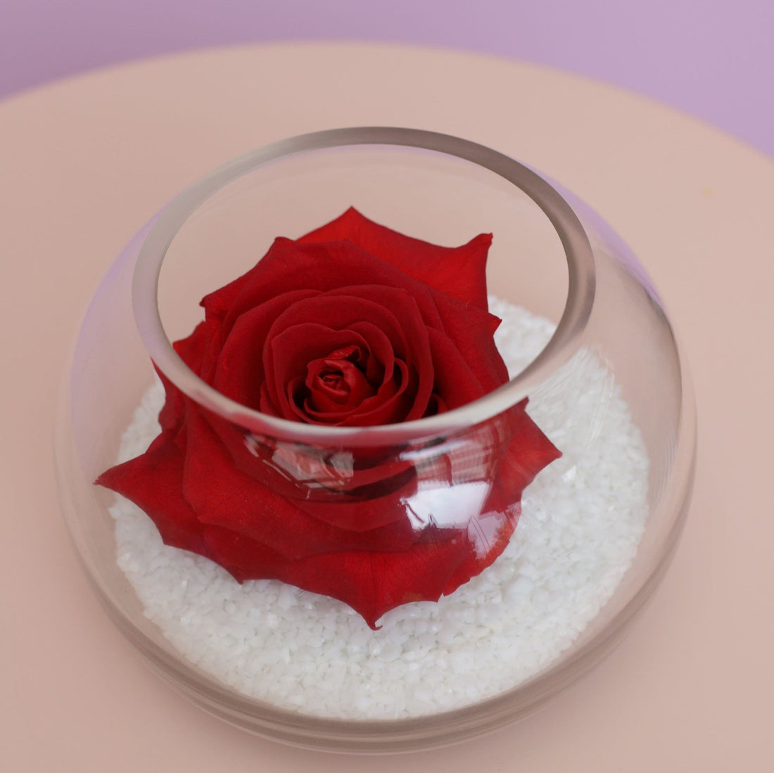 Love Forever | Preserved Red Rose
