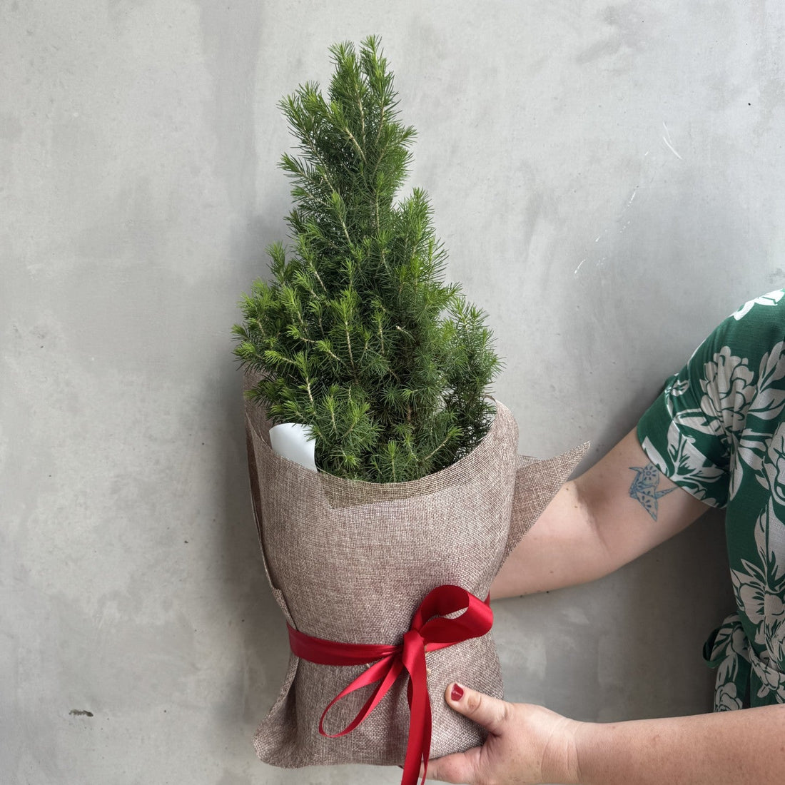 O Christmas Tree! | Christmas Mini Pine Tree