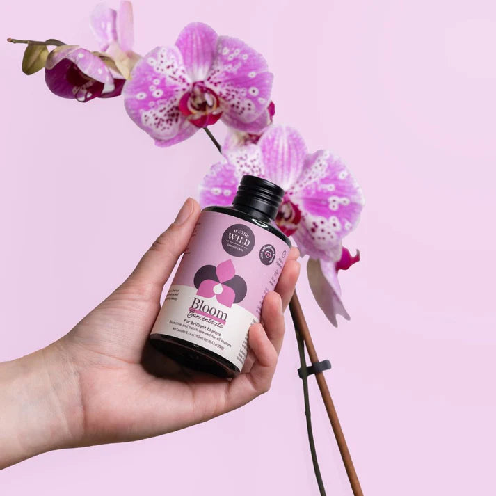 We the Wild | Orchid Care Essentials Kit