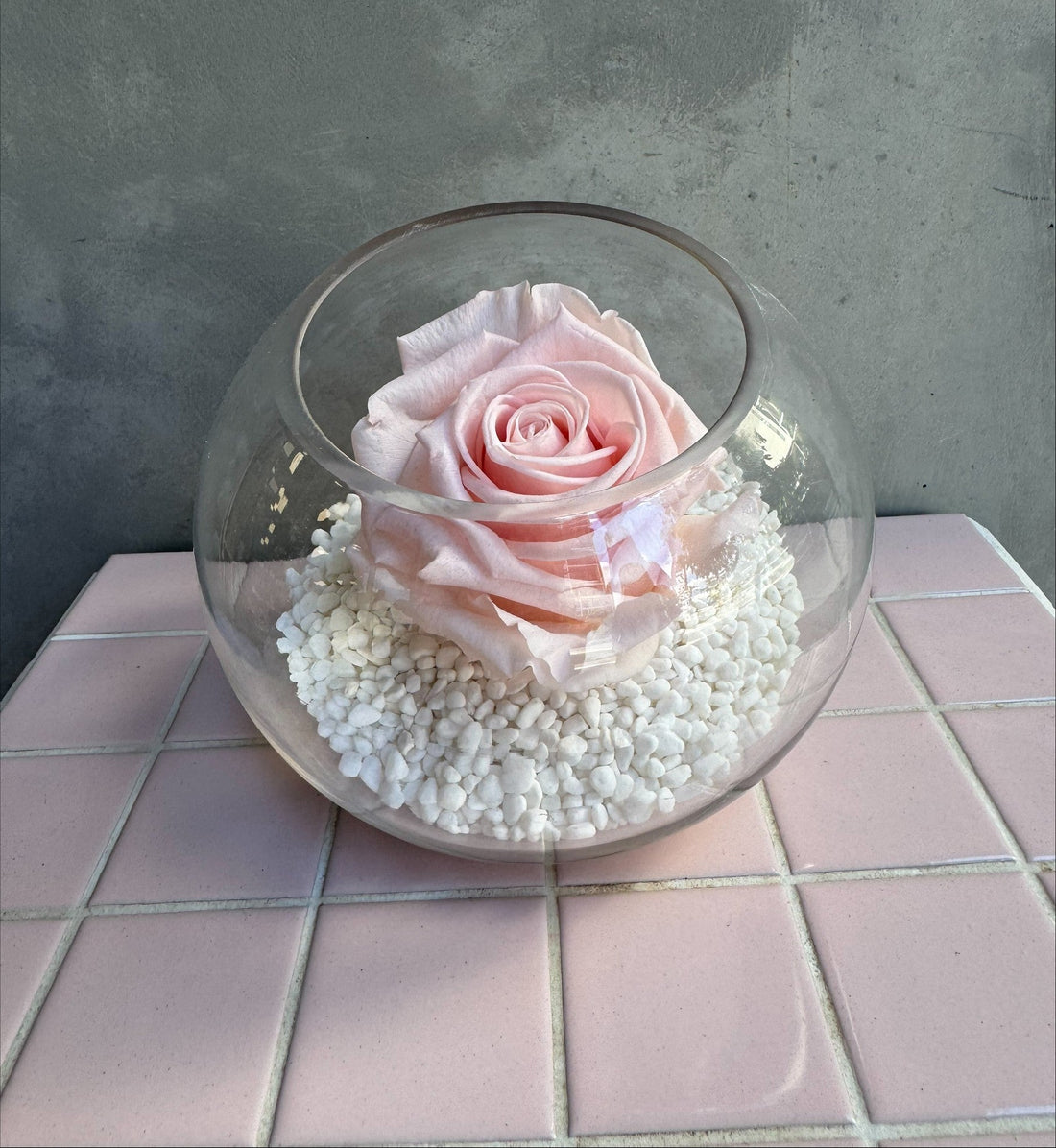 Eternal Elegance | Preserved Pink Rose