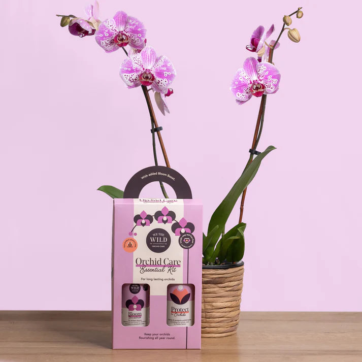 We the Wild | Orchid Care Essentials Kit