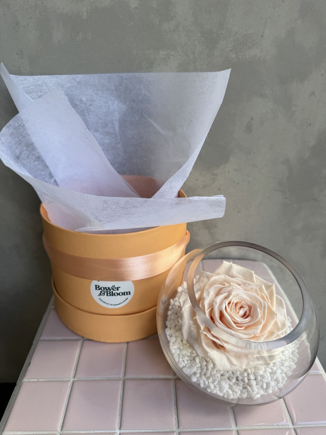 Eternal Elegance | Preserved Cream Rose