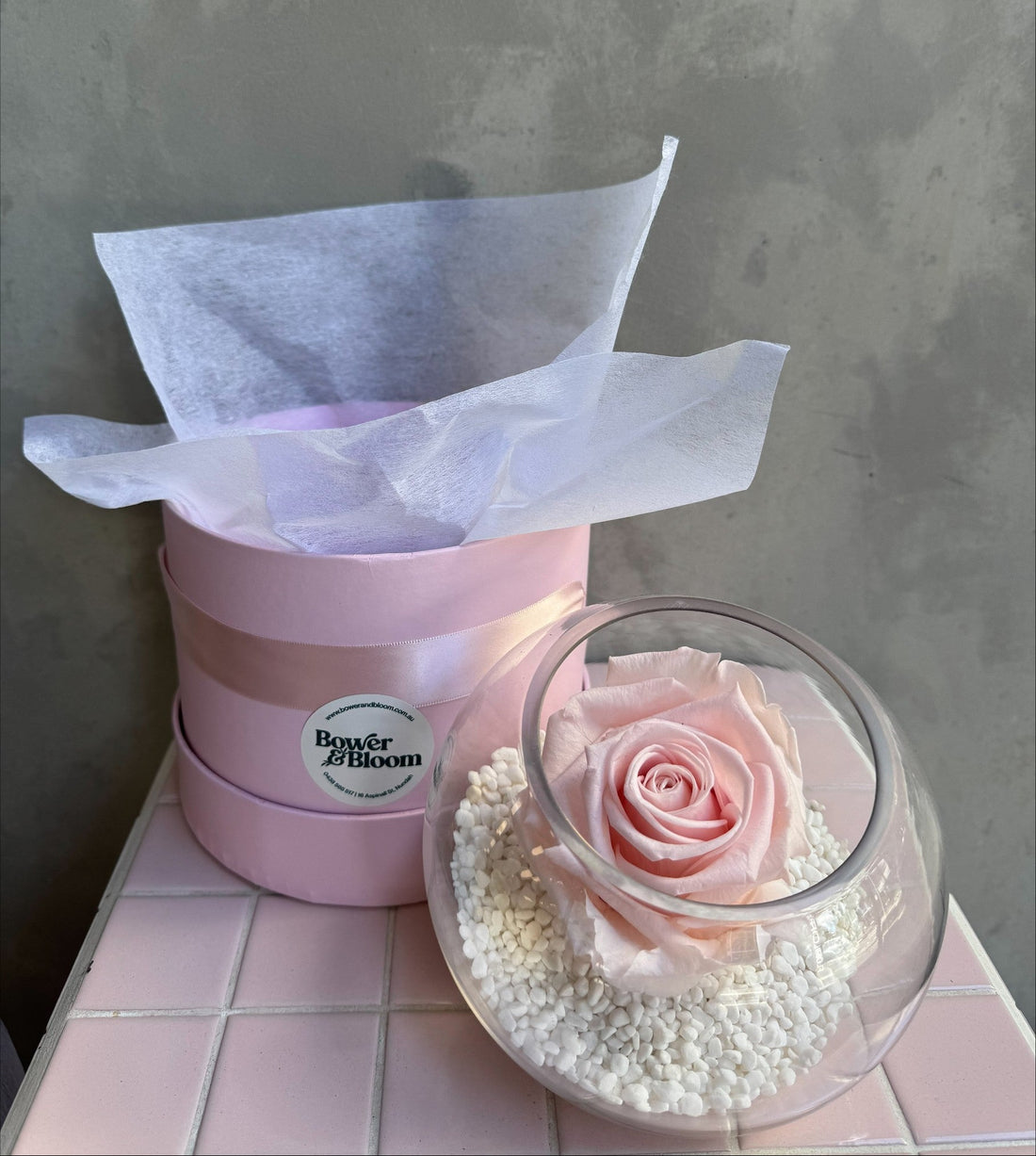 Eternal Elegance | Preserved Pink Rose